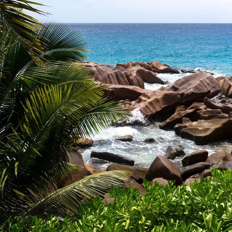 Foto des indischen Ozean auf den Seychellen. Zu sehen sind Palmen, Felsen und Wasser. Das Foto gehört zu einer Reise Serie von Pascal Salewski