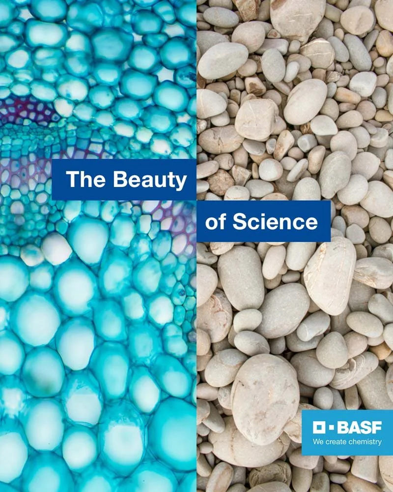 basf_05.jpg