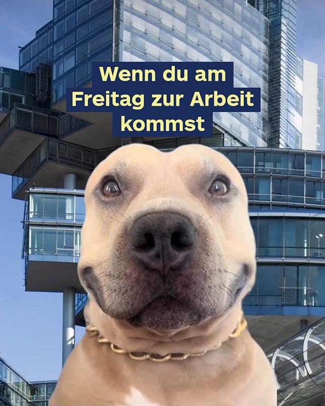 social-media-nordlb-01.jpg