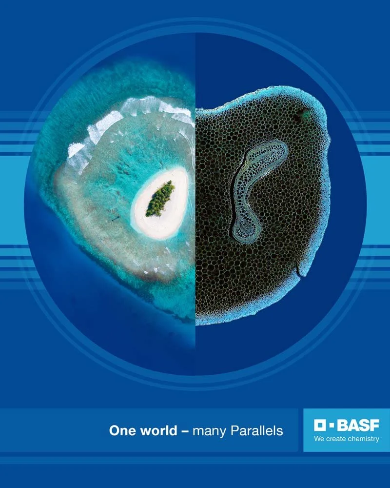 basf_03.jpg