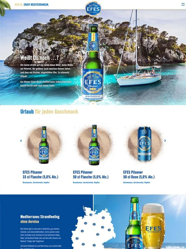 webdesign_beispiele_02_efes.jpg