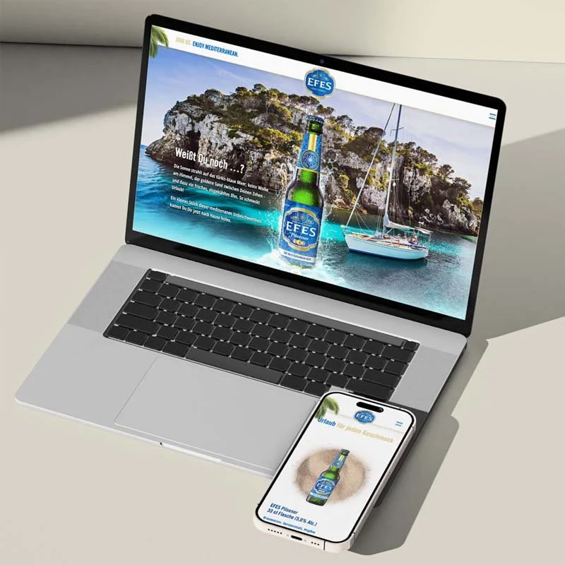 webdesign_beispiele_01_efes.jpg