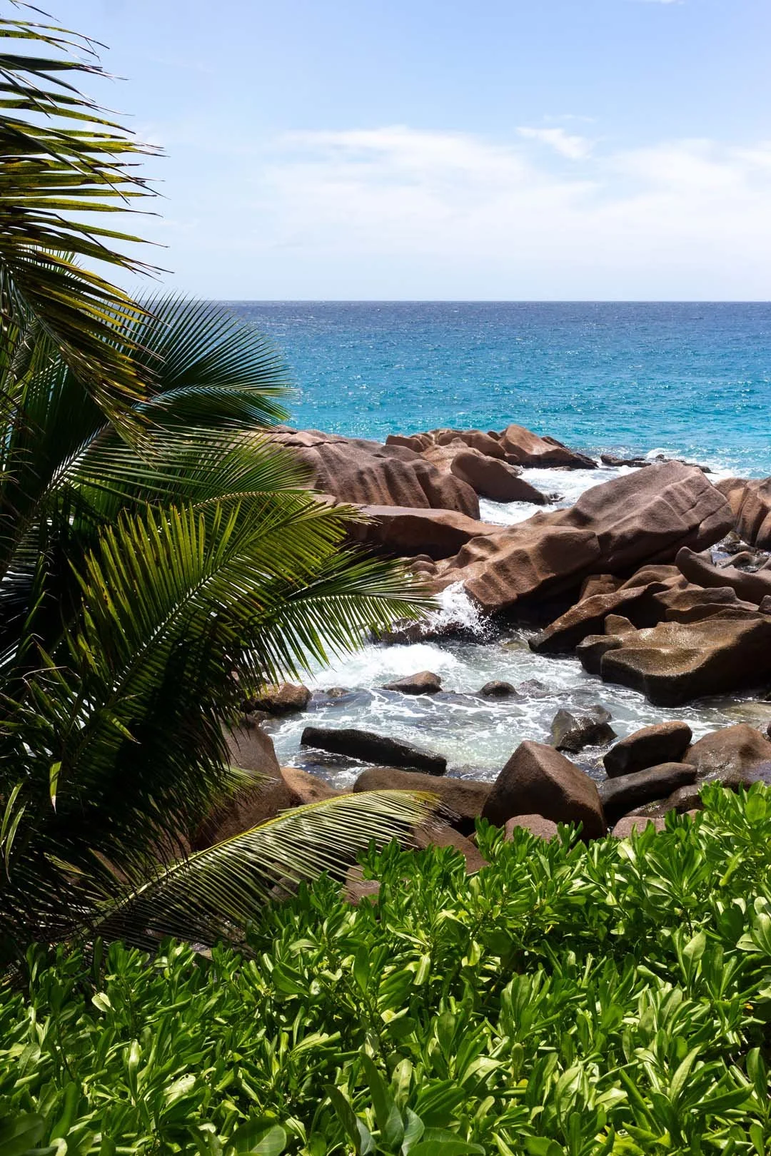 Ein Foto der Seychellen mit einer sehr akkuraten Bildaufteilung. Im Vordergrund grüne Sträucher, dann die bekannten Felsen der Seychellen und dahinter das blaue Meer. Sonne scheint, da möchte man direkt hin.