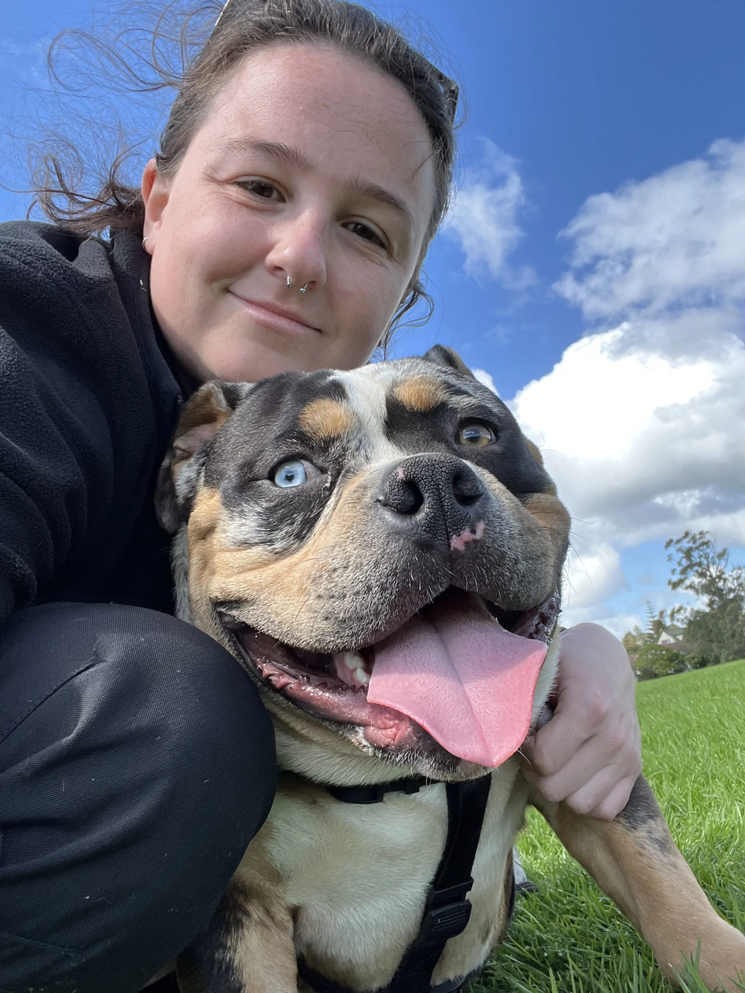 Force Free Dog Trainer