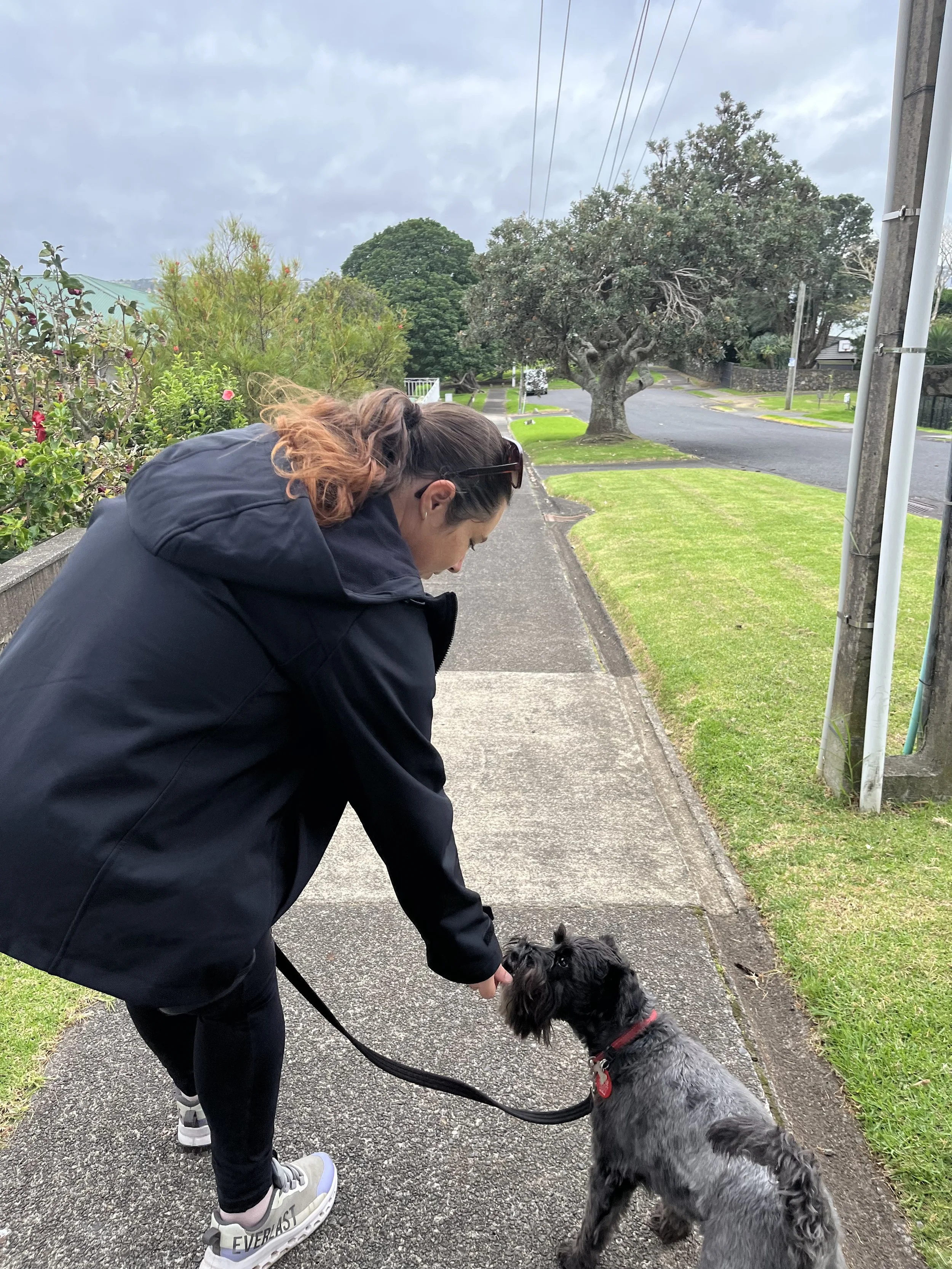 Dog Walking