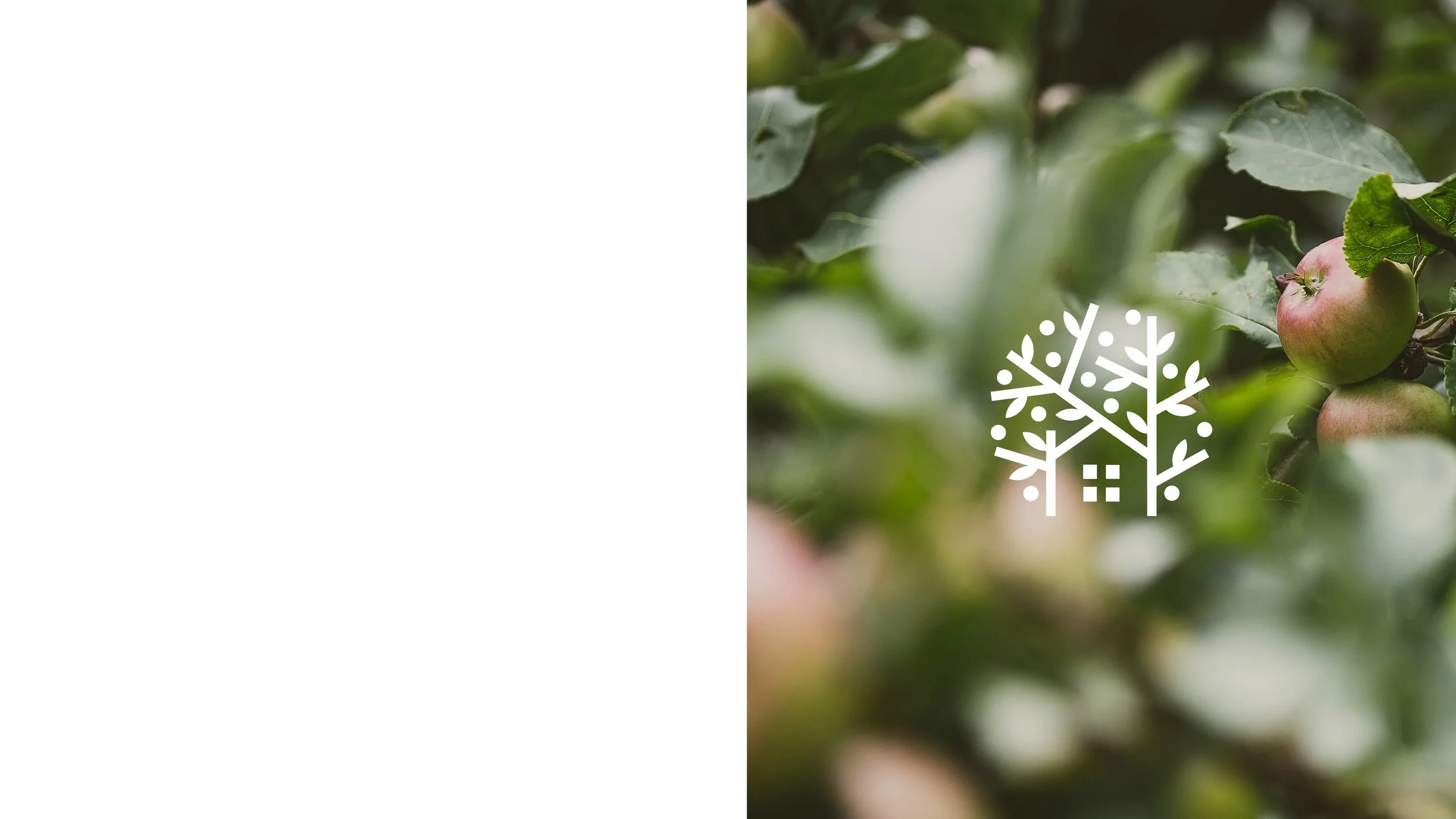 Applegate Resize3.jpg