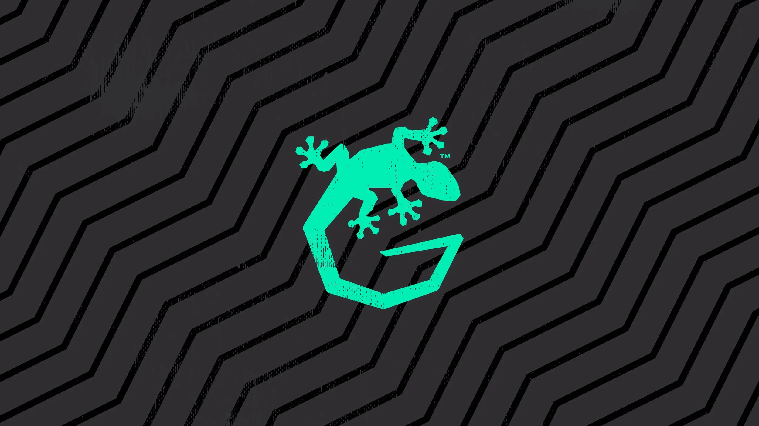 Gekco2.jpg