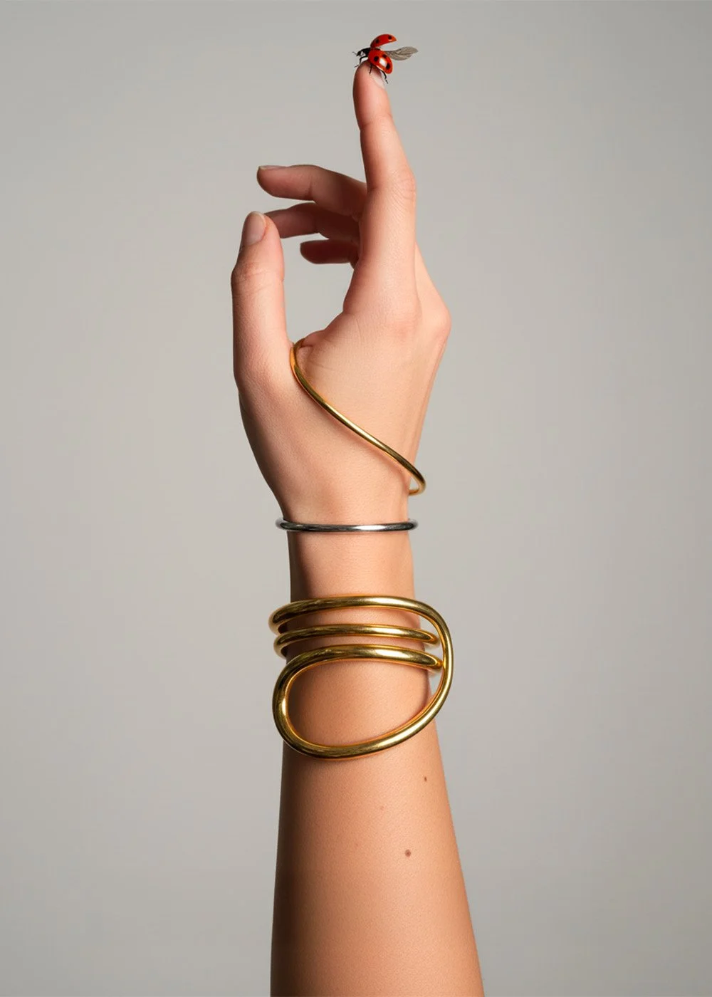 Still life study for CHARLOTTE CHESNAIS