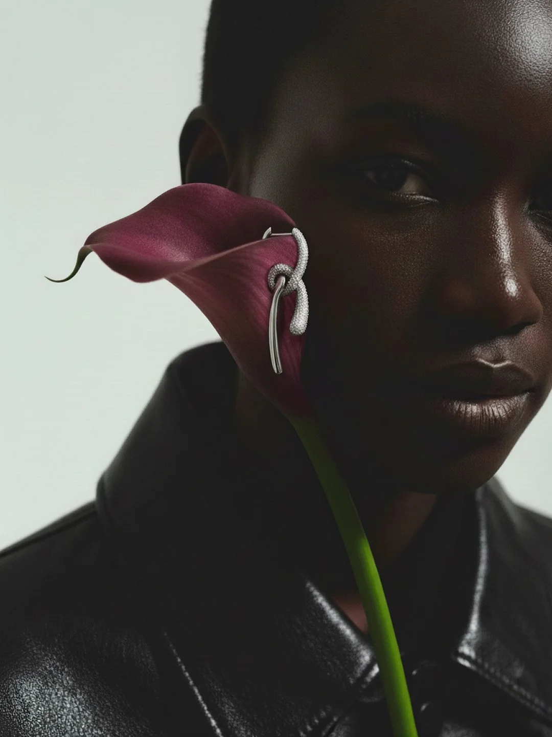 Still life study for PDPAOLA