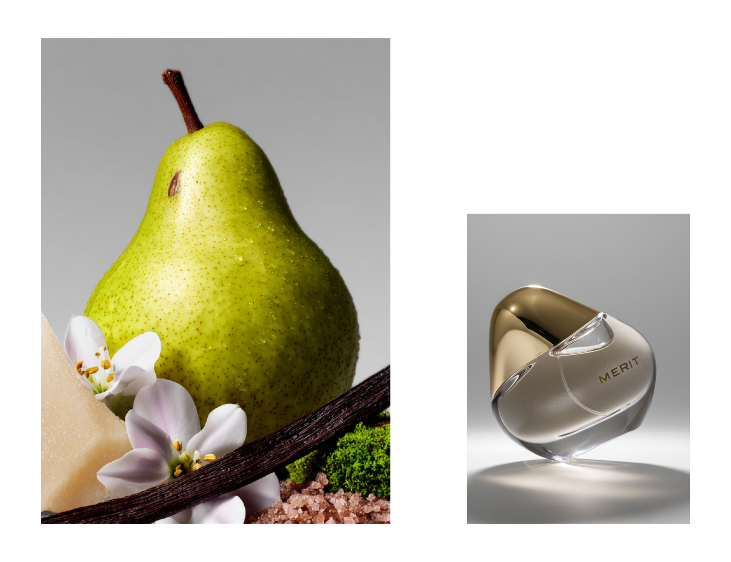 Still life study for MERIT