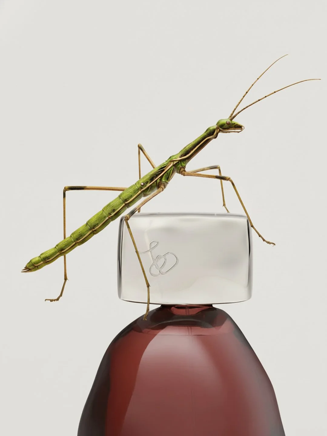 Still life study for LORE