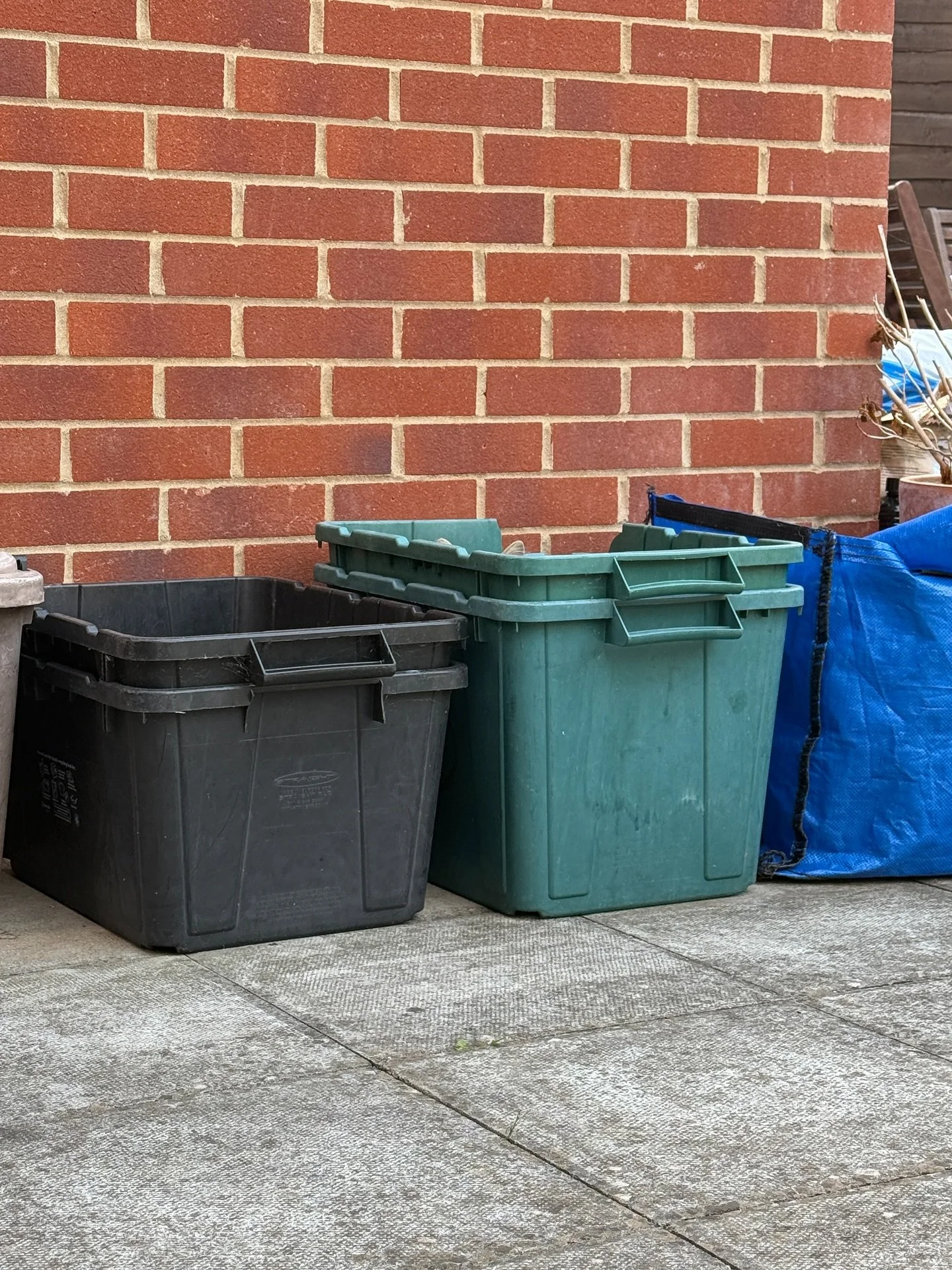 👀🐾 Peek-a-boo&hellip; I see you! 🐱💕
Our feline royals always know how to make an entrance 👑✨

#PeekabooCat #CatSitting #FelineRoyalty #CatLovers #AristocatsCare #catsitters #catsittingservice #catsitterlife🐱❤️ #catinabox