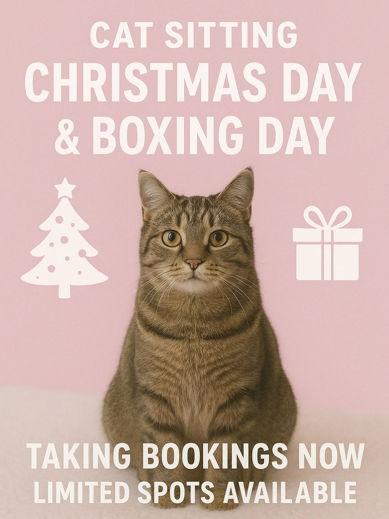 I hate to mention the scary C word so early but Christmas is approaching and I want to let all my clients know that I will be working Christmas Day and Boxing Day. 

If you&rsquo;re spending time with family or going on holiday I will be taking on a 