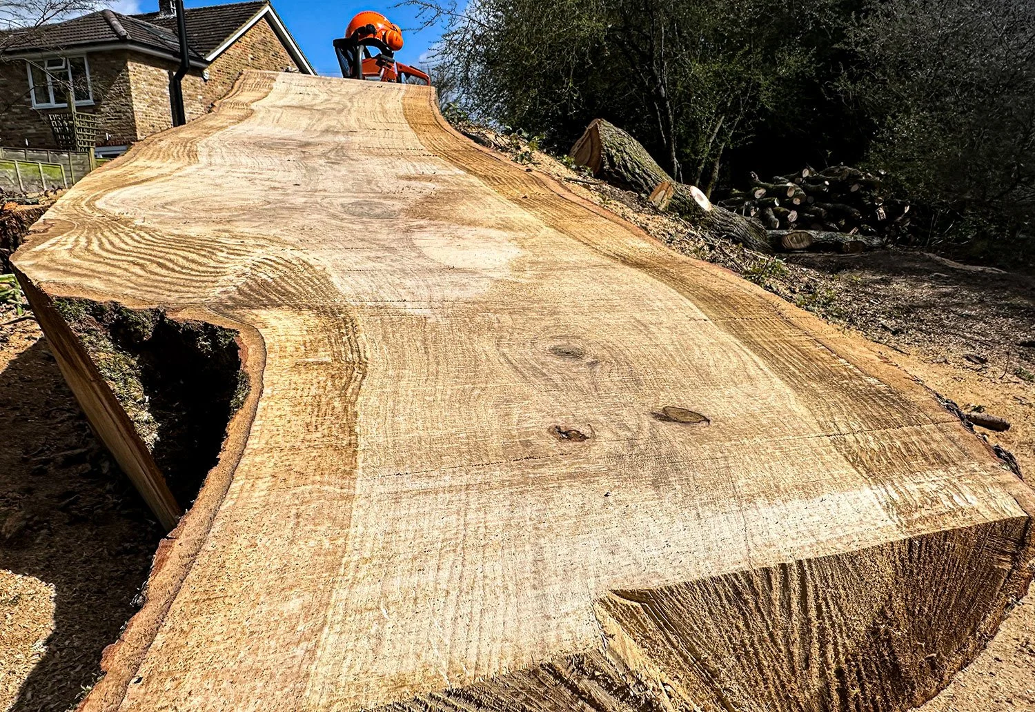 timber.jpg