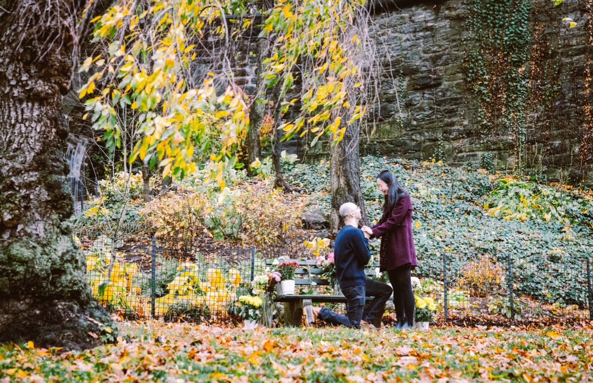 A couple in a park during fall, with trees and fallen leaves, is engaged in a marriage proposal. The man is kneeling, holding hands with the woman. There is a bench and flower arrangements nearby.