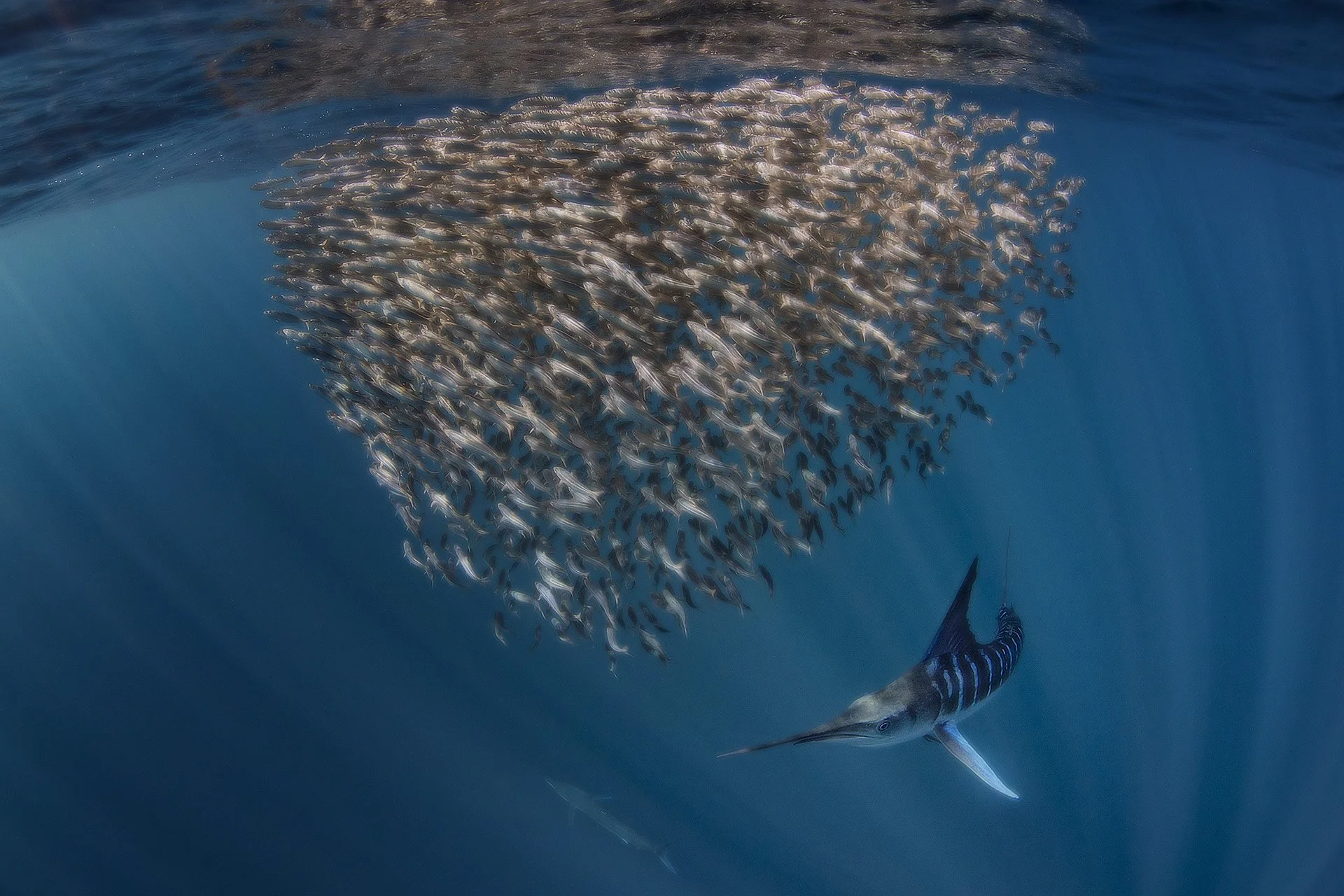2X9A4214.jpg