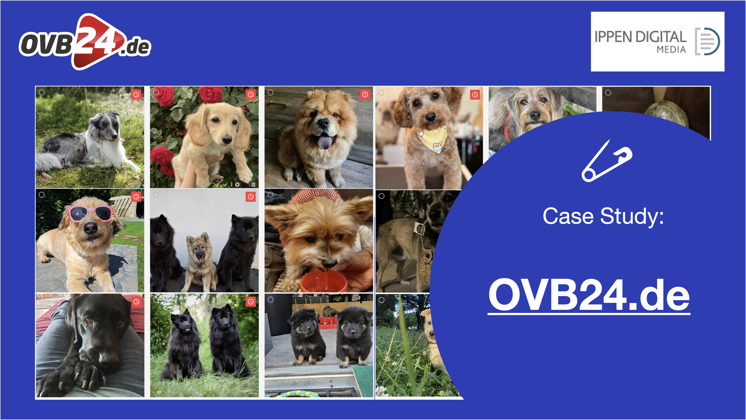 OVB24.de: No more chaos, just high reader participation &amp; return visits with Contribly newsroom tools