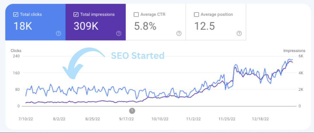 SEO Consulting