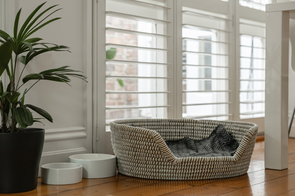 A pet bed and two food bowls placed on a hardwood floor near a window with white shutters, with a large indoor plant in a black pot nearby.