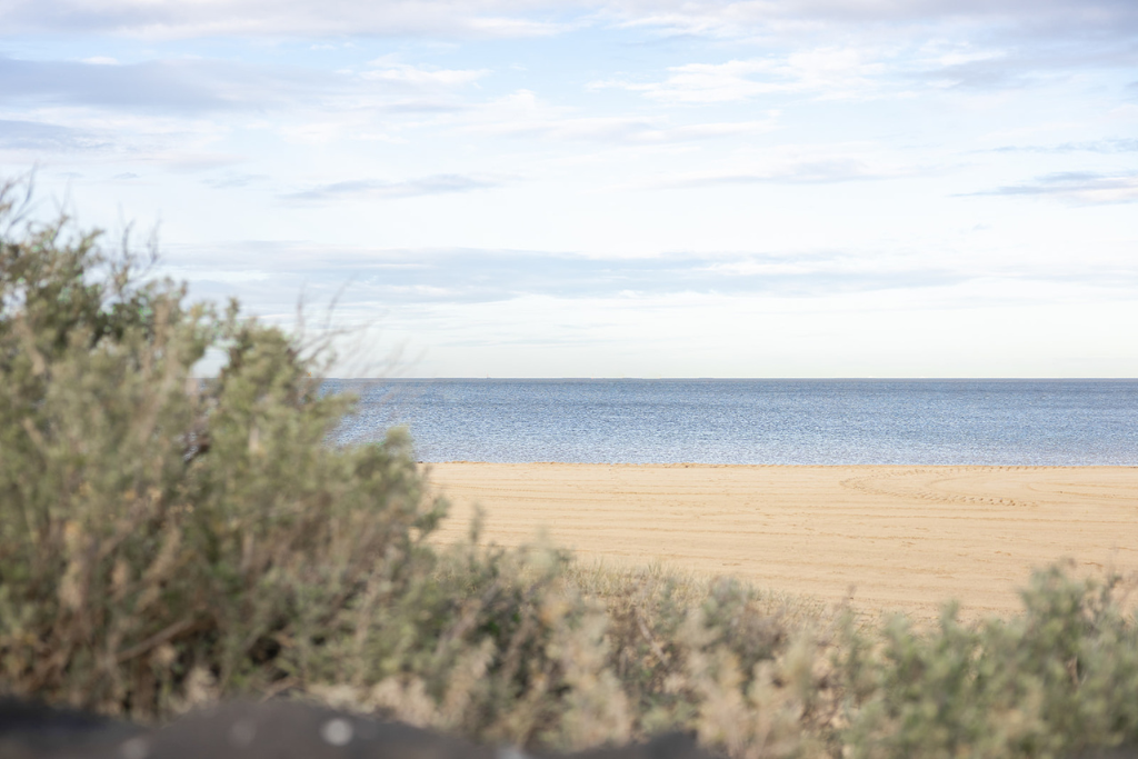 A view of South Melbourne Beach with sand, water, and sky, seen through bushes in the foreground.