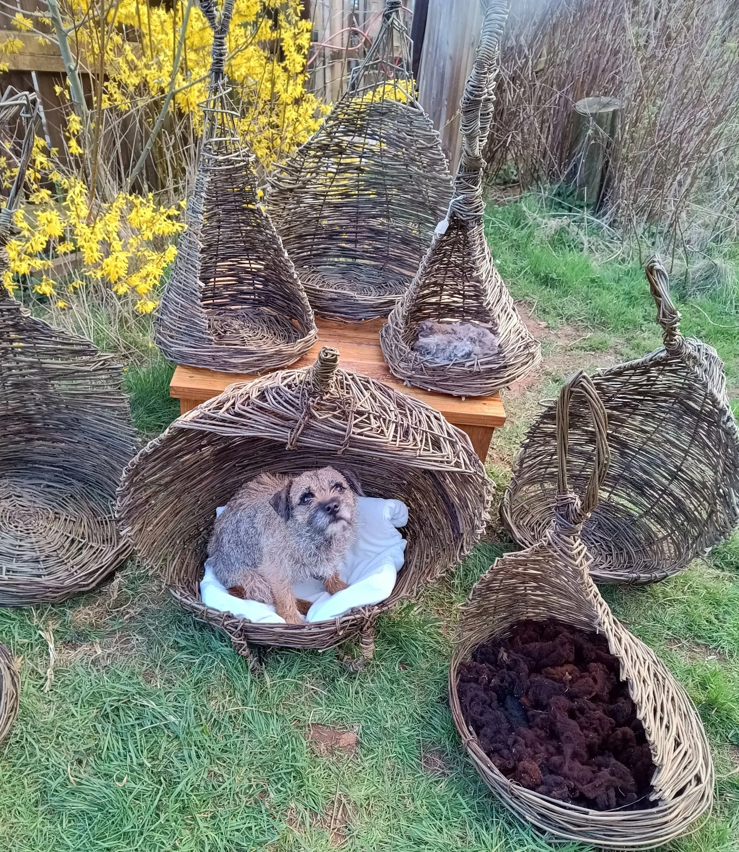 Item 4: collection of pet beds for small dogs and cat caves for sale £25 each (they contain a handle so easy to move around) Cushions also included with every pet bed - not shown in photo.