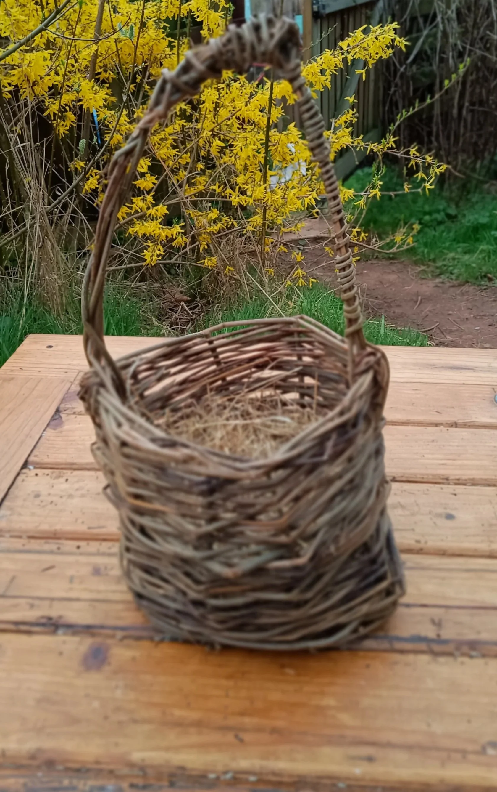 Item 7: Small basket for eggs or foraging £15