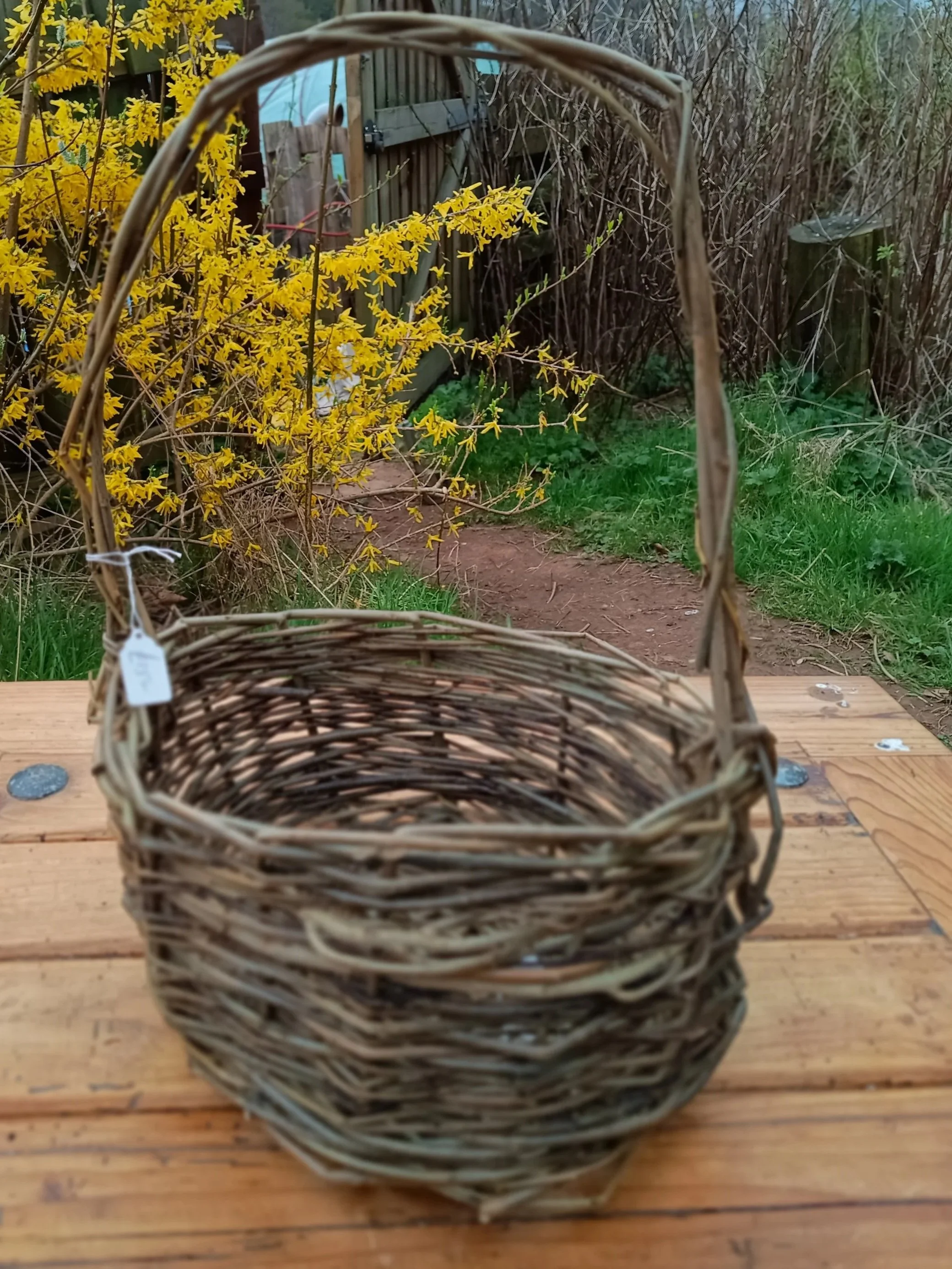 Item 7: Small basket for eggs or foraging £15