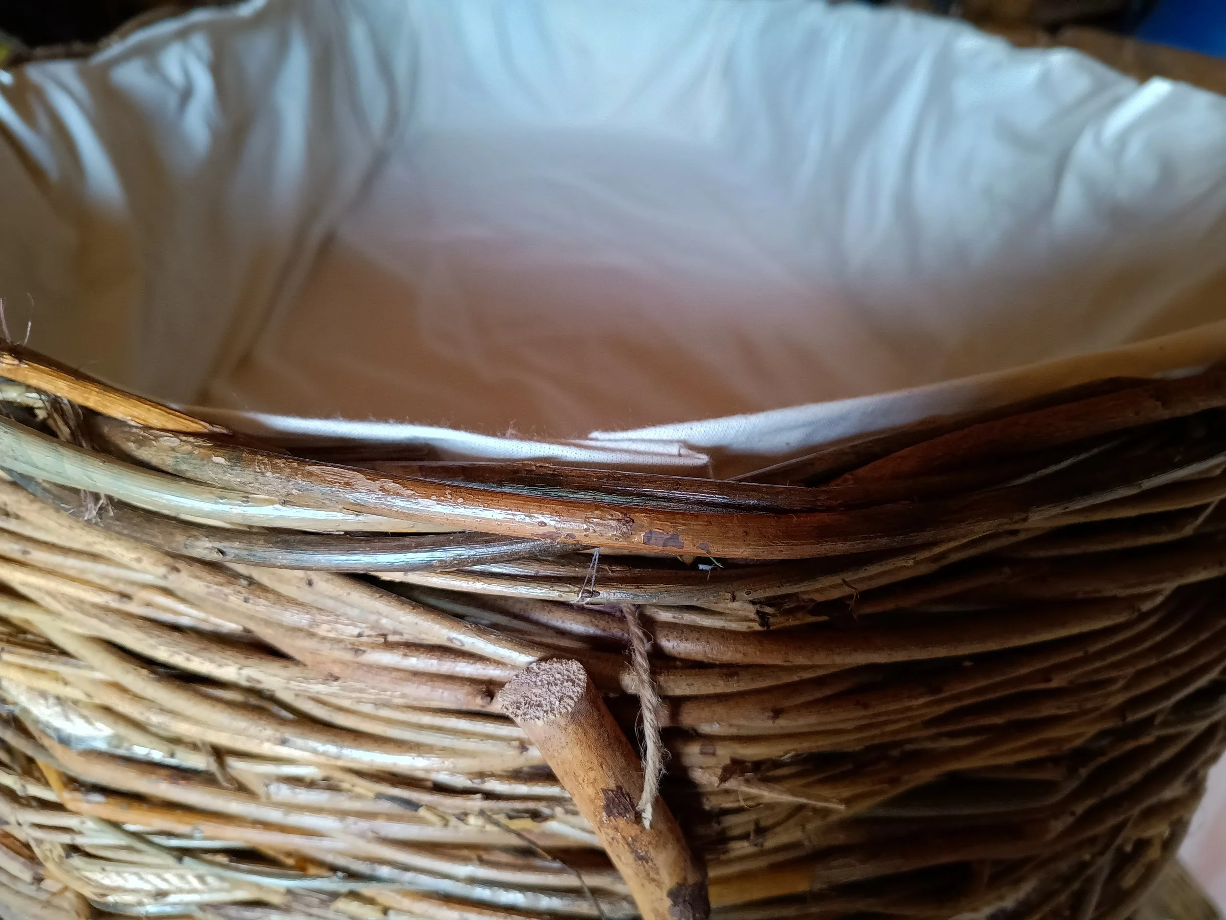 Medium willow coffin