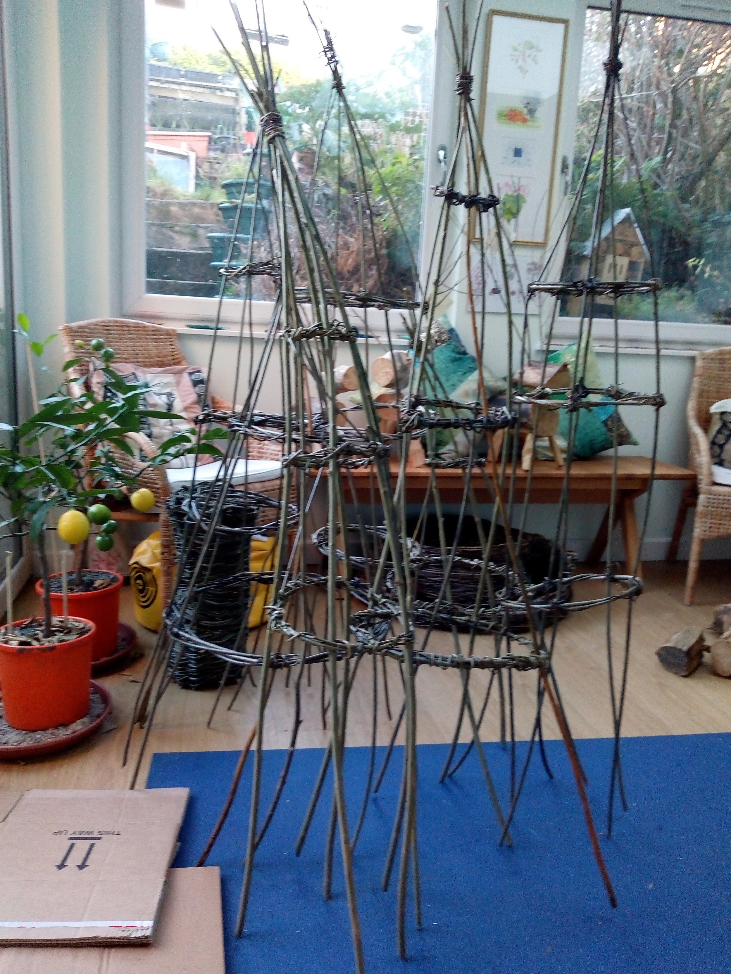 Three garden obliques made from woven willow created in willow weaving workshops by awaywithwillow.com