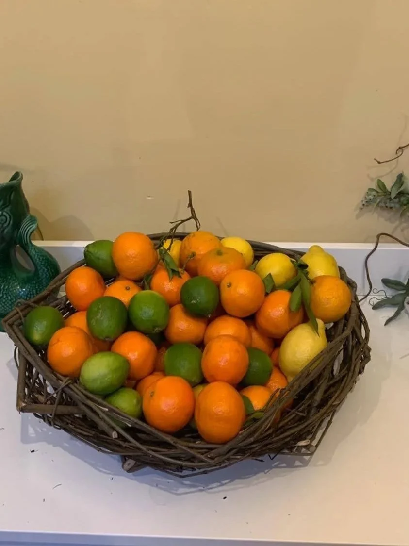 wicker willow fruit bowl made at willow weaving class Edinburgh