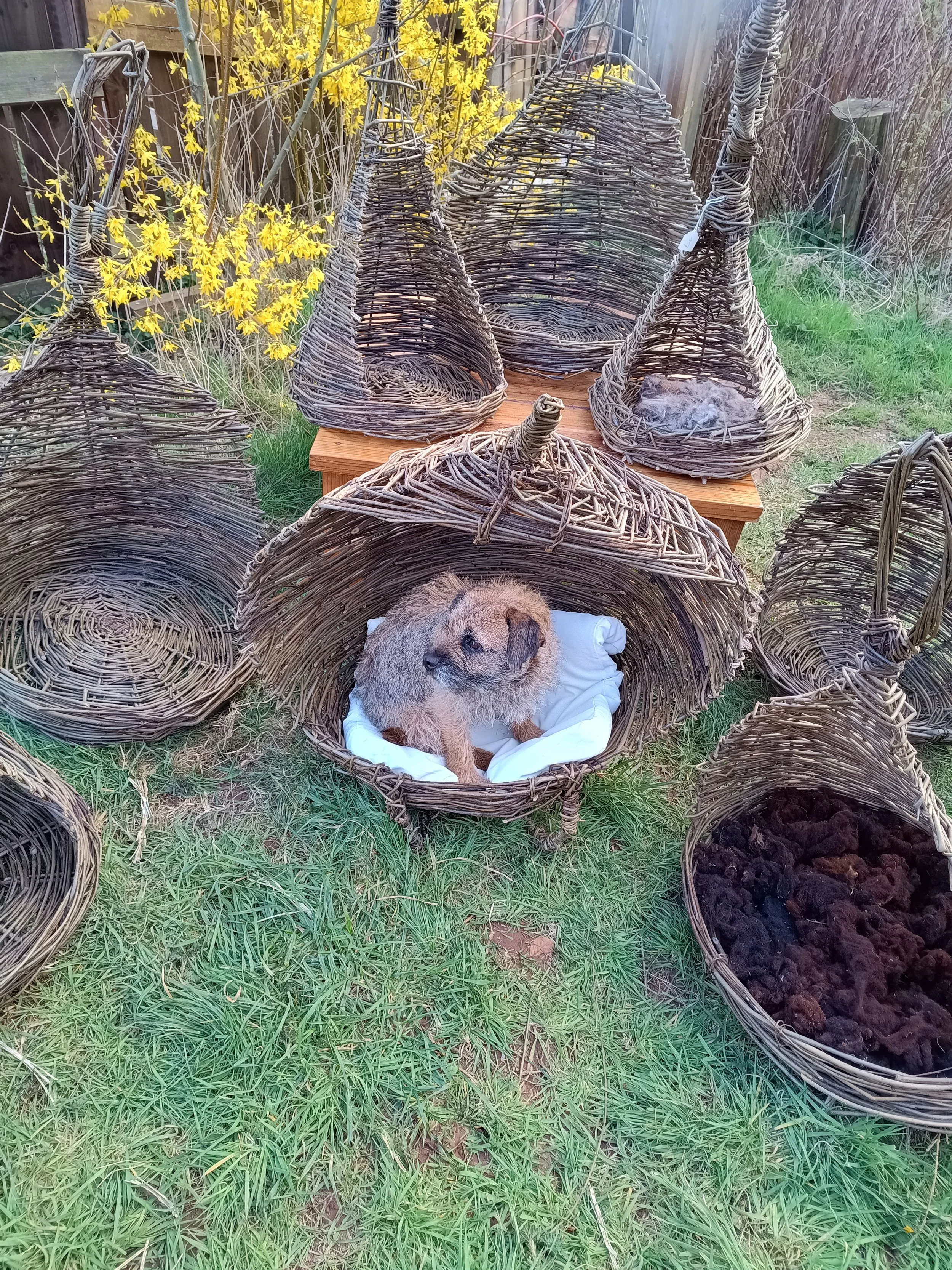 Item 4: cushion lined pet bed for small dog or cat £25 each