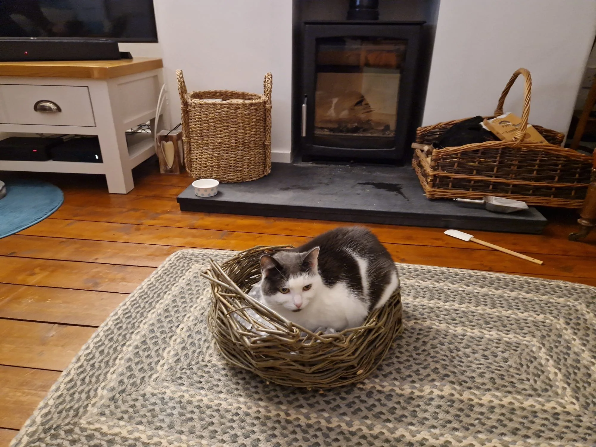 Item 5: Example of pet bed in use! £25