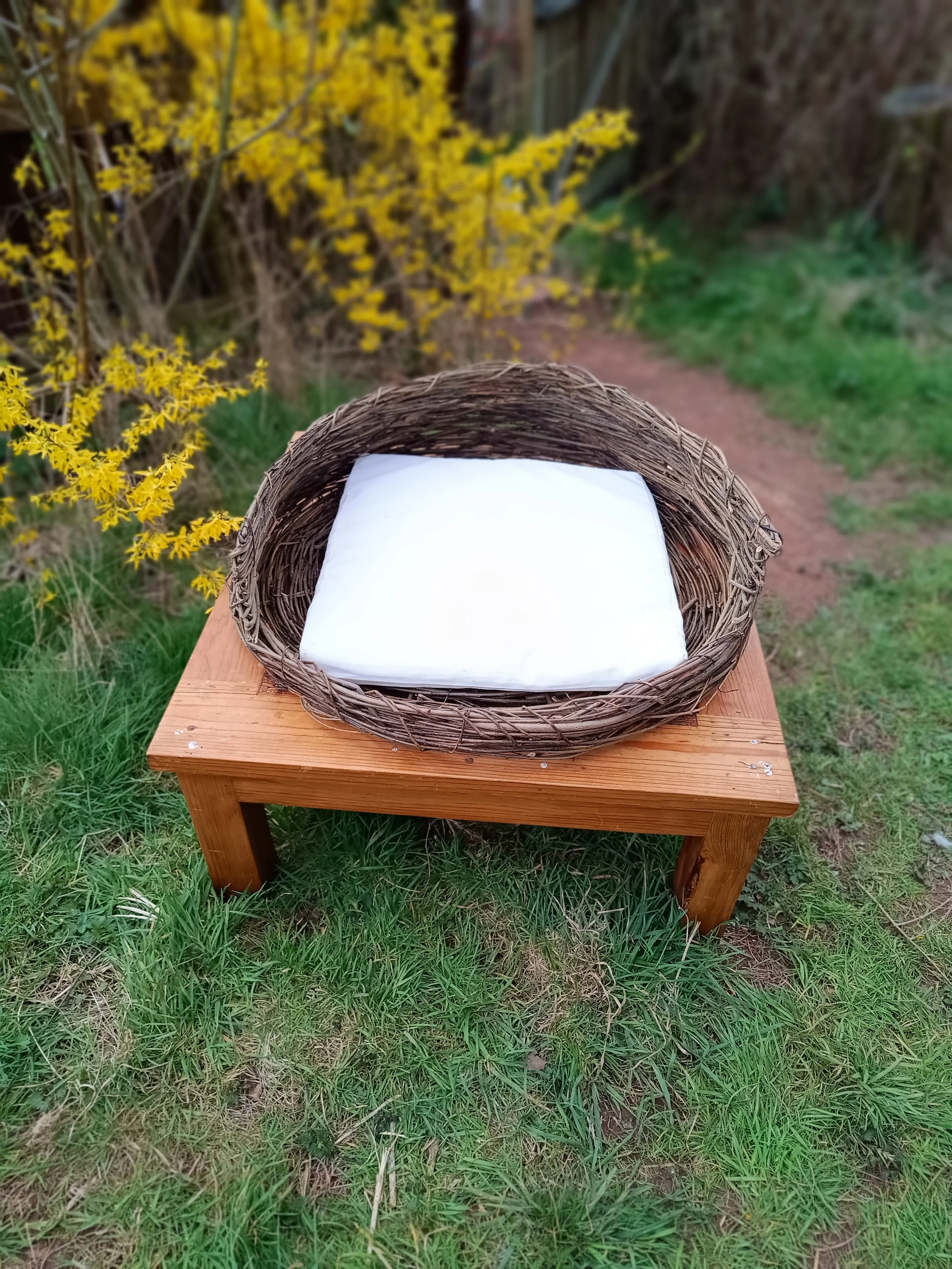Item 5: Basket for a pet - small dog or cat £25 (cushion included)