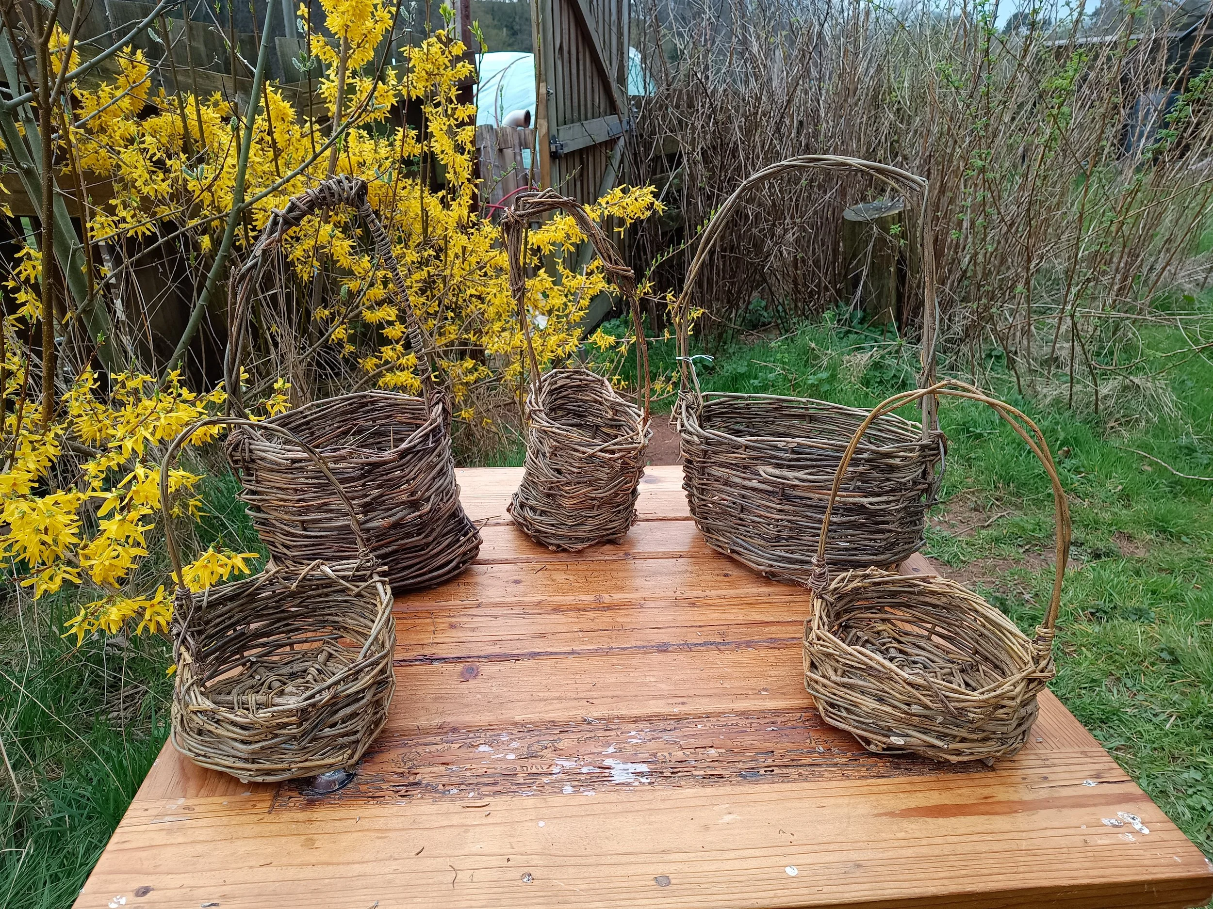 Item 7 A selection of foraging baskets £15 each