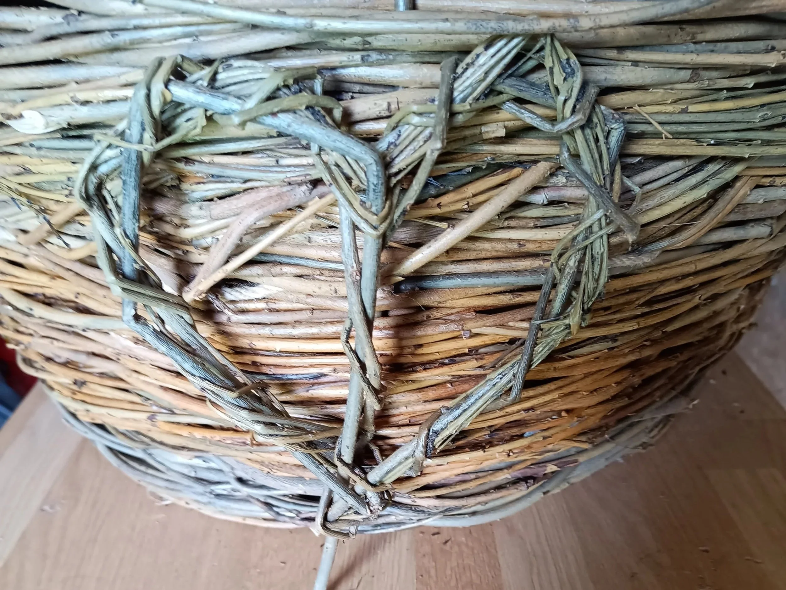Open Willow Heart