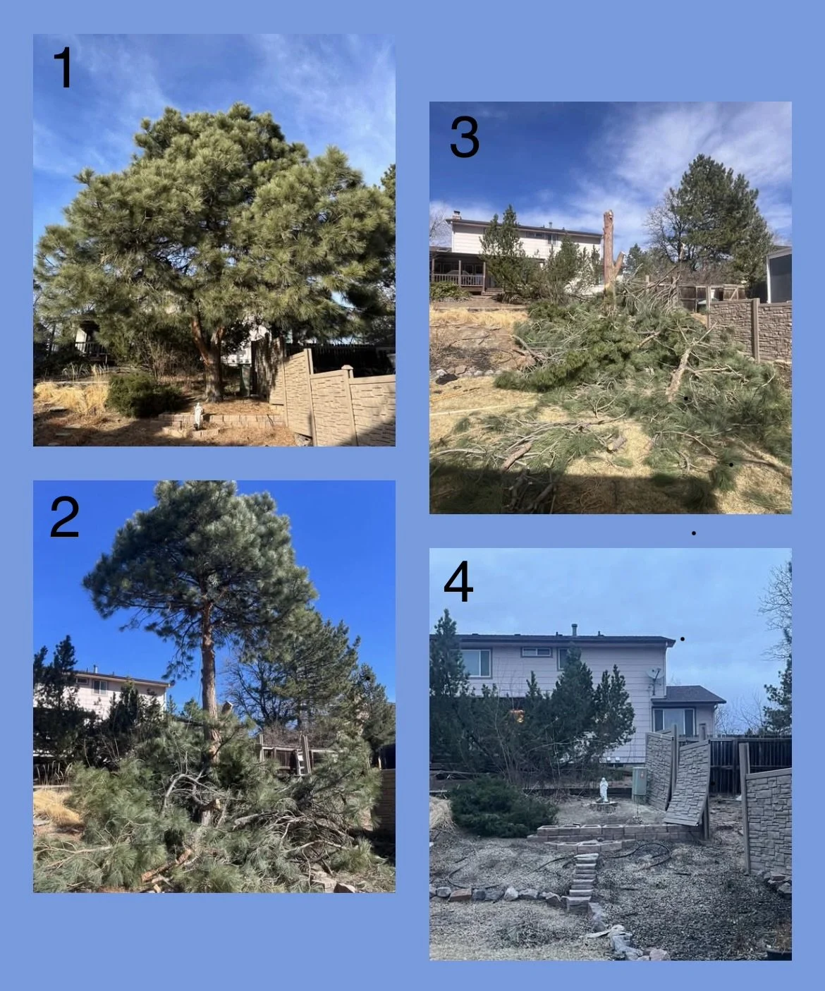 Sequence of four photos showing trees, some of which have fallen or been cut down, in a residential backyard under a partly cloudy sky.