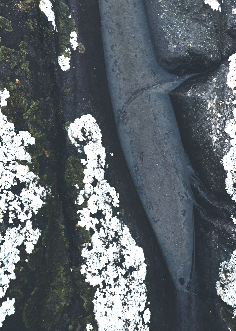 Screenshot 2025-06-03 at 10.27.10.png