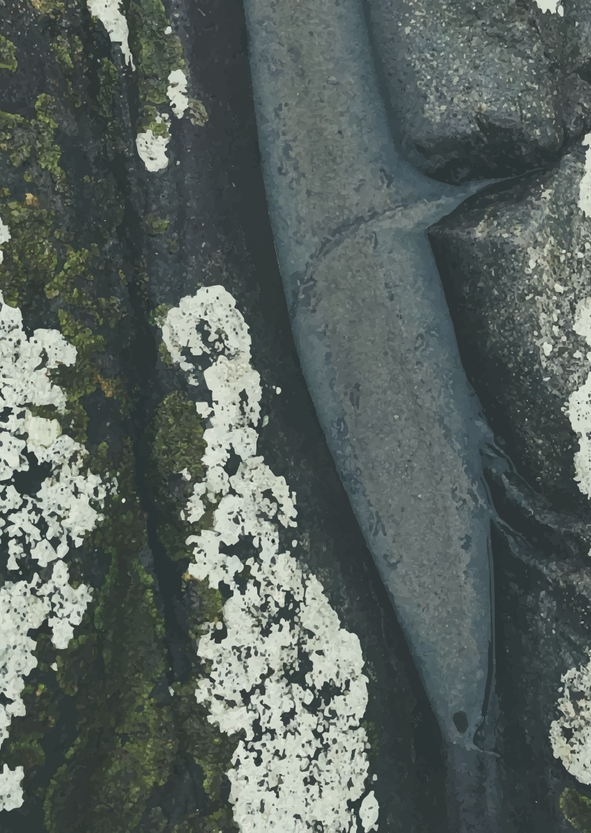 VESTFOLD 02 postcard