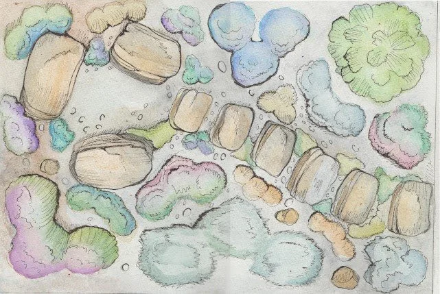A hand-drawn, watercolor illustration of a garden trail with stones, bushes, and flowers in various pastel colors.