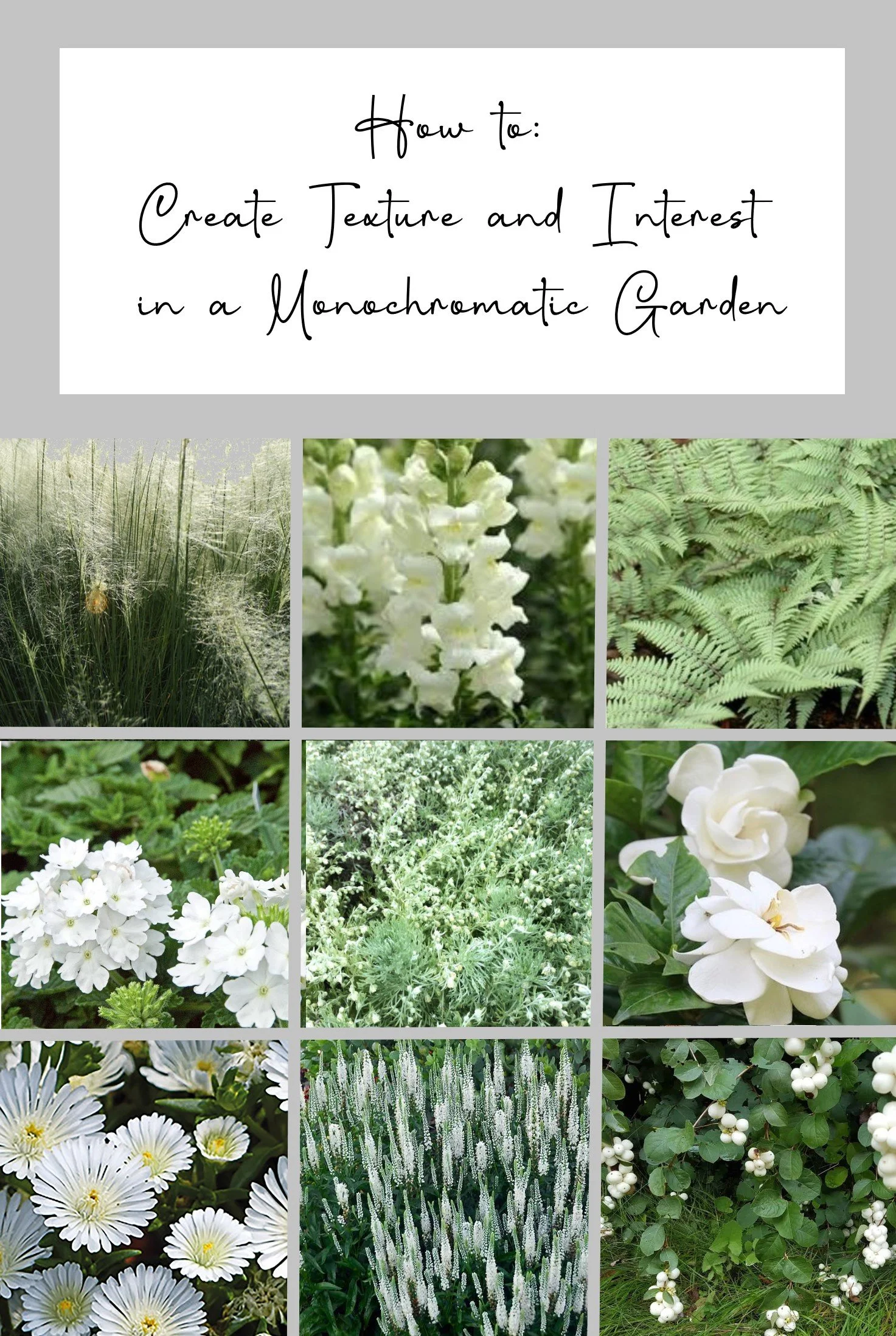 A Guide to White Gardens