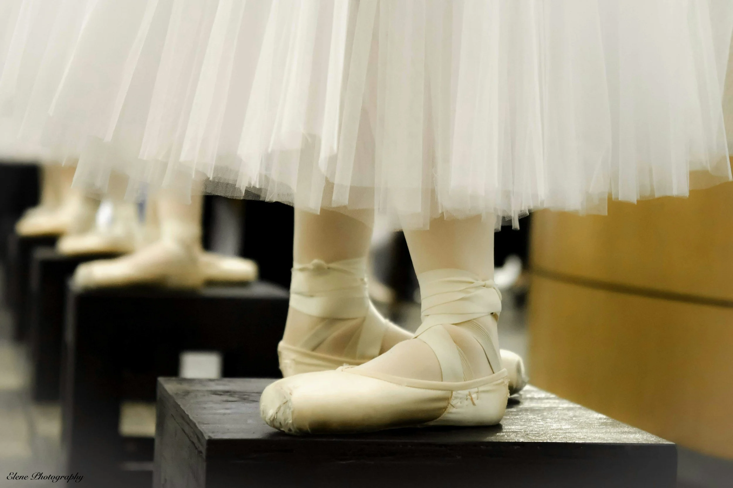 Alameda Civic Ballet's The Nutcracker