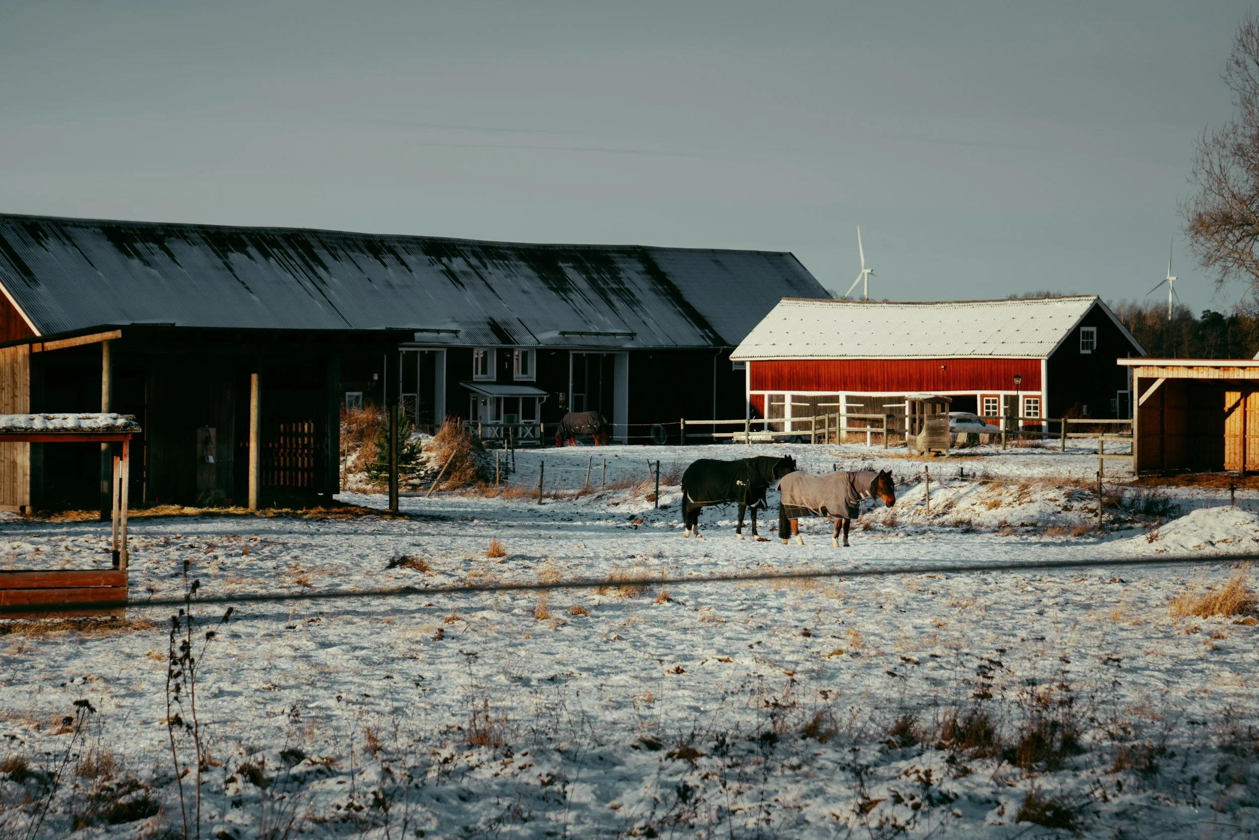 HOLIDAY BARN BOUTIQUE