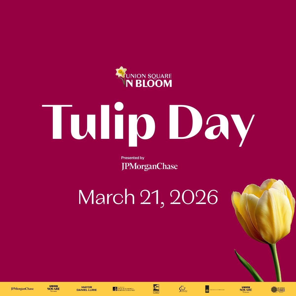 Tulip Day 2026: 80,000 Free Tulips in Union Square