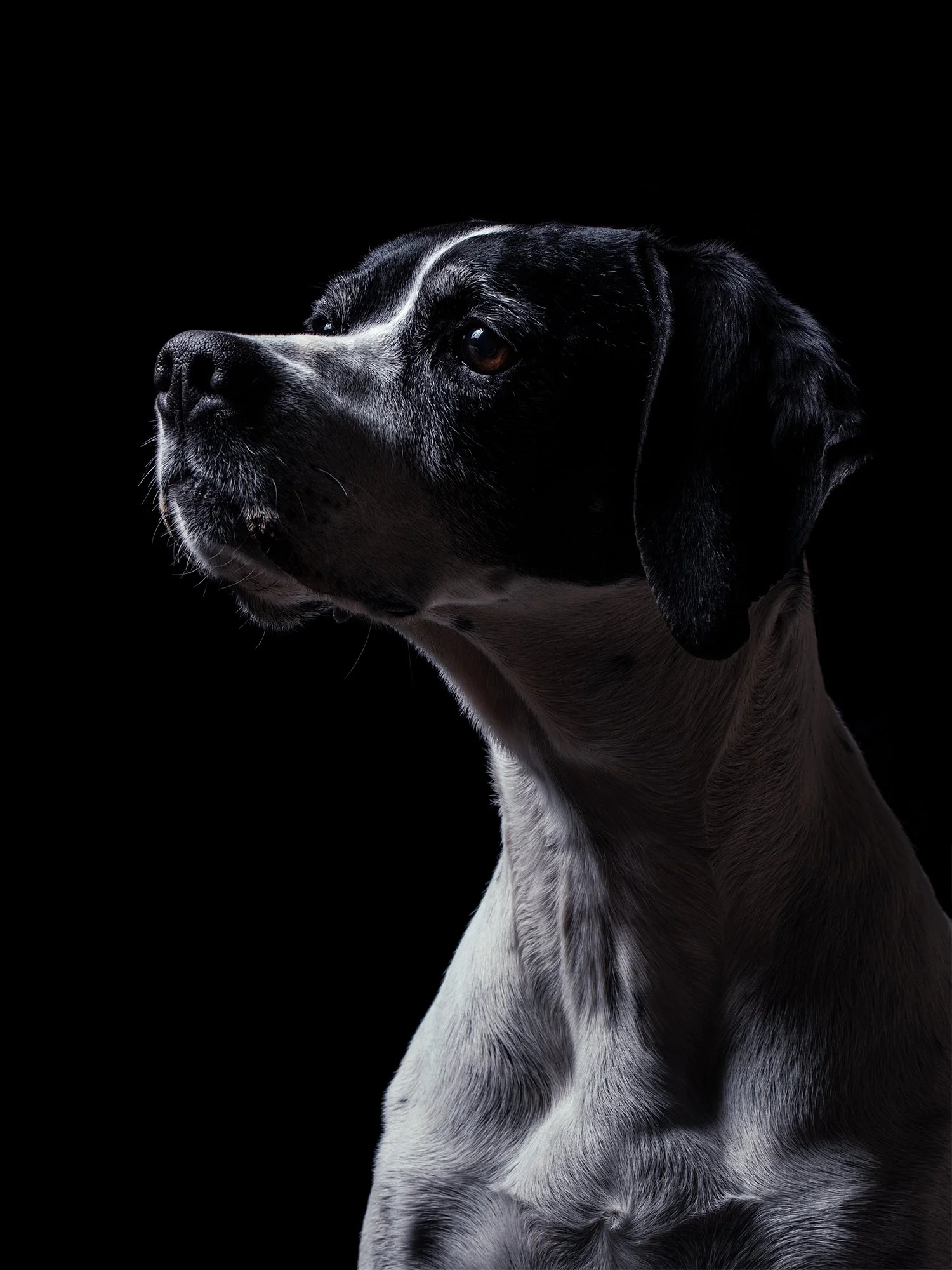 lulu as of 15-03-26 x2.jpg