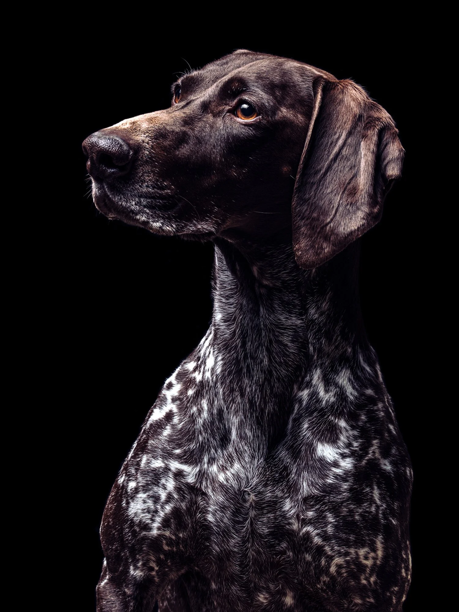 molly 6.jpg