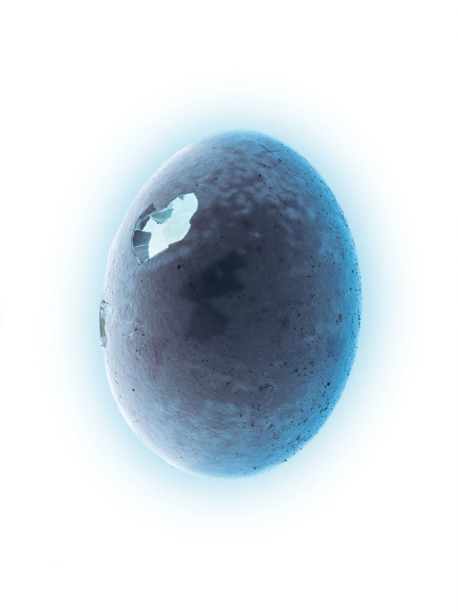 egg 5.jpg