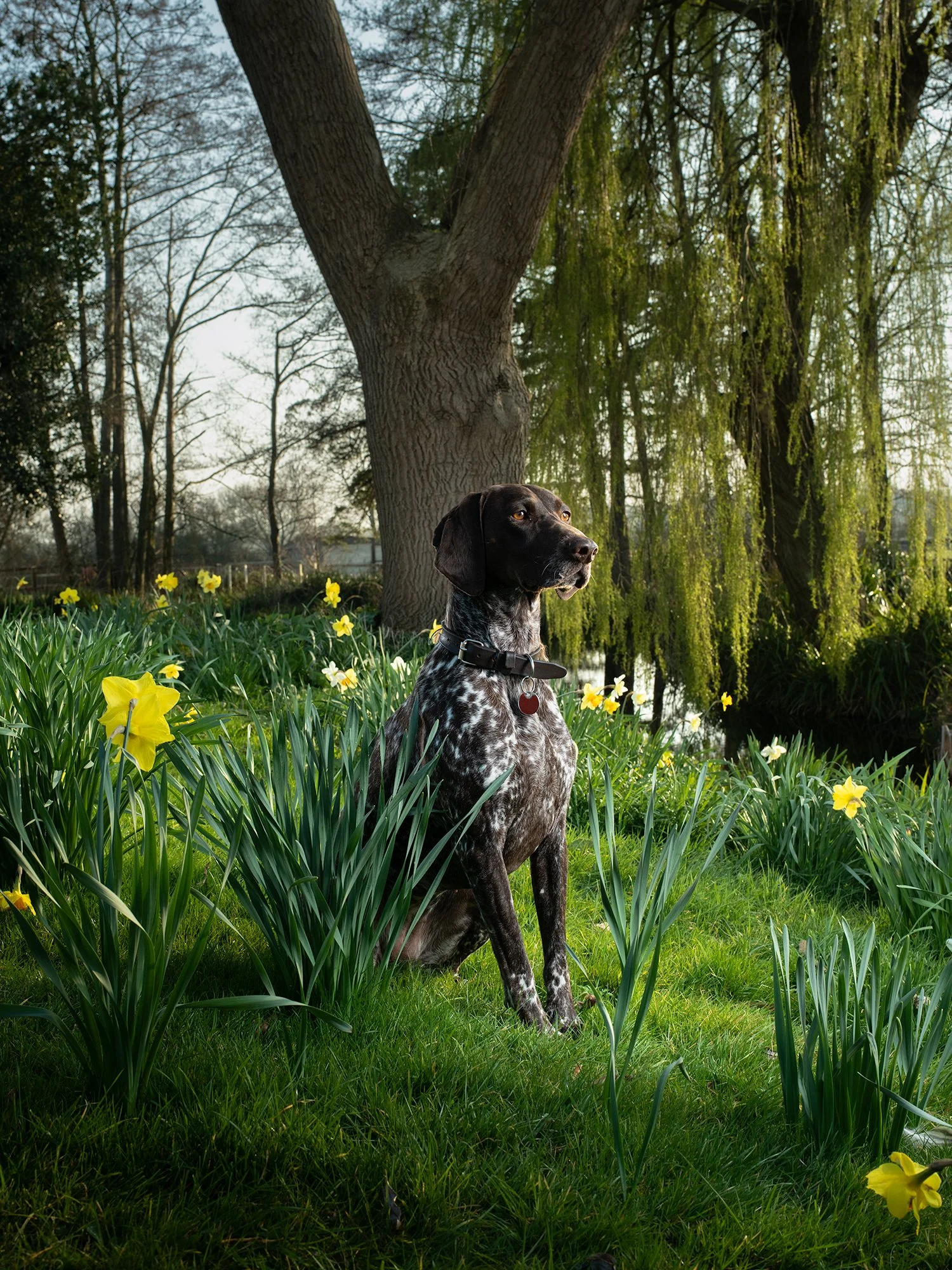 Megan Dickson - Molly.jpg