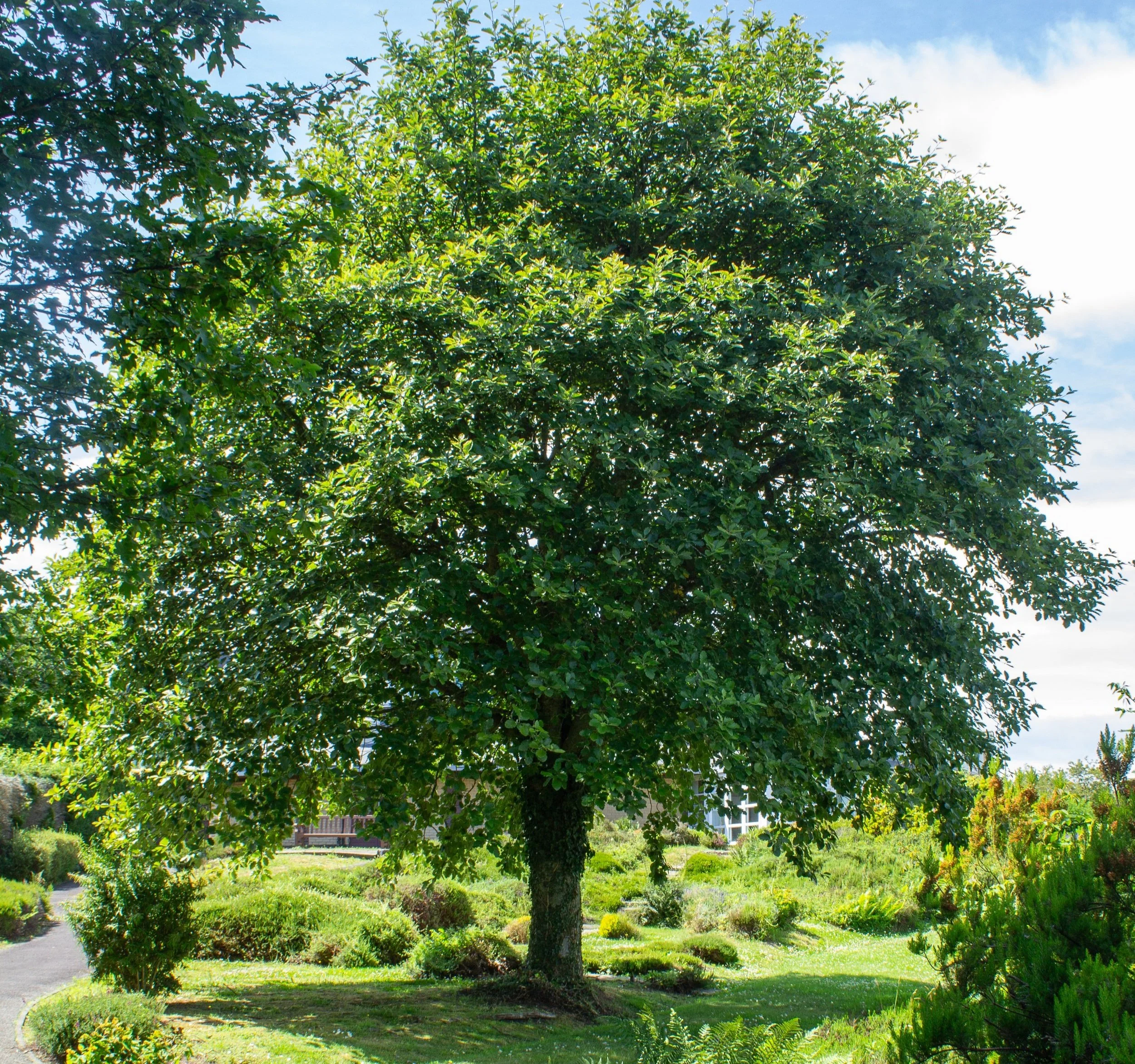                                               Financial Update from Brewin Dolphin - 20 September 2024