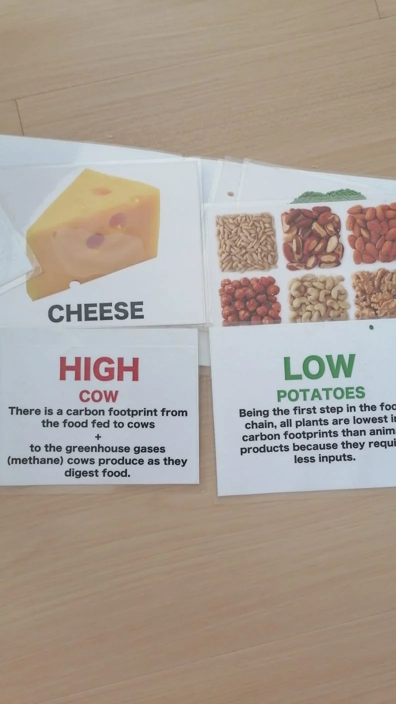 Design a Plant-based Life with Us