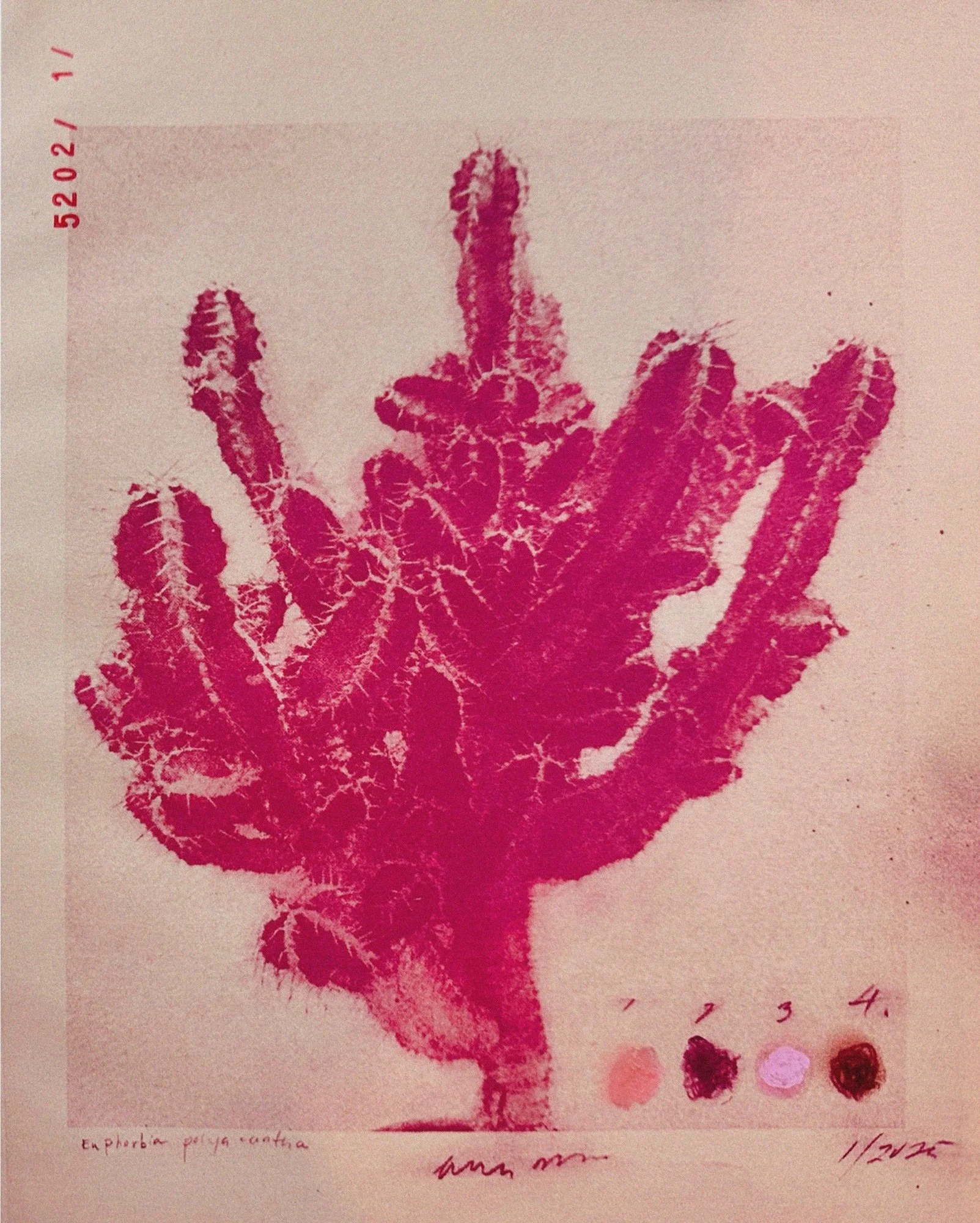 julie-wolfe_apophenia-press_assemblages_PL6.jpg